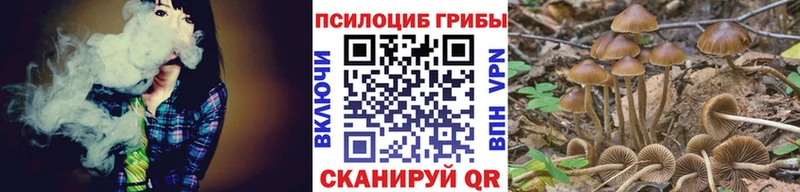 omg tor  Чапаевск  Галлюциногенные грибы GOLDEN TEACHER 
