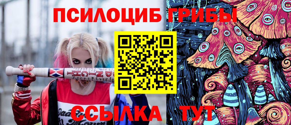 Галлюциногенные грибы Psilocybe Чапаевск
