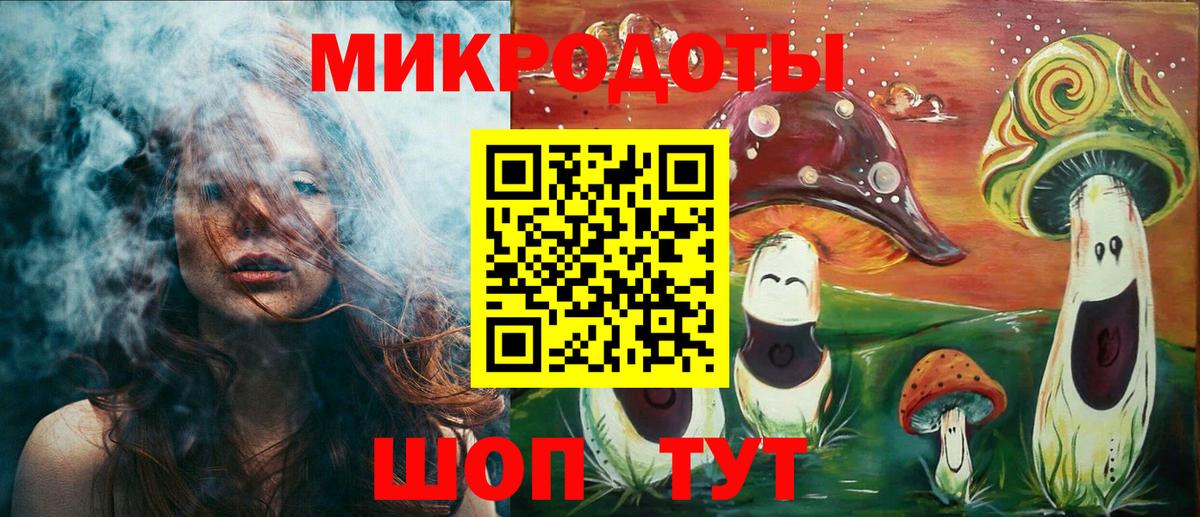Чапаевск  Псилоцибиновые грибы Psilocybe  Вход с VPN 